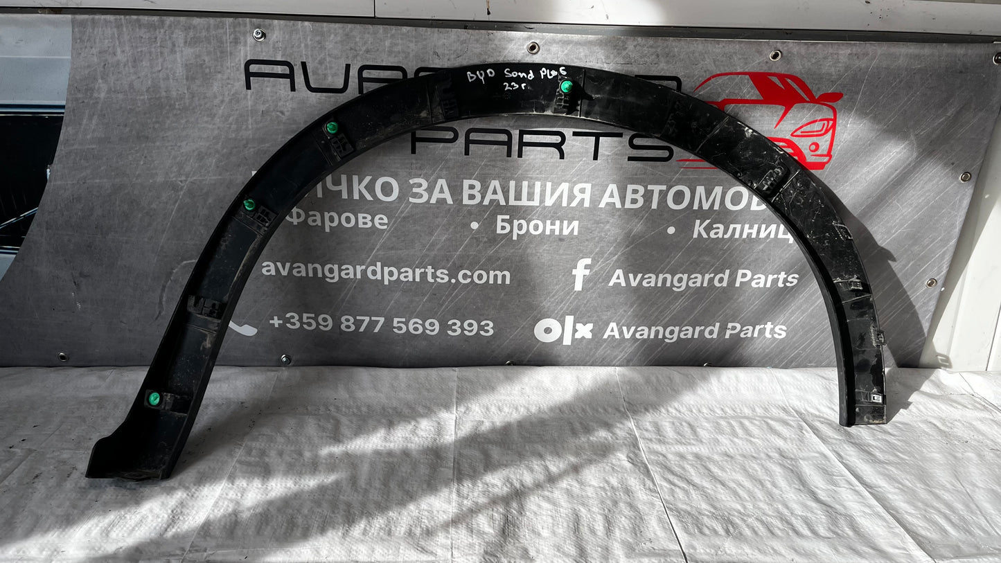 BYD задна дясна вежда
