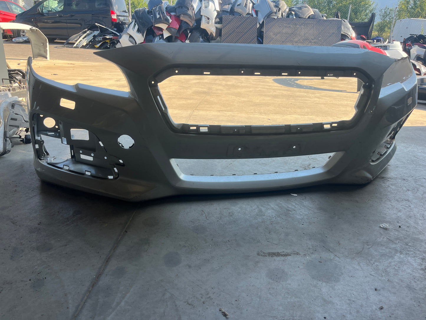 Броня Subaru Levorg 14-