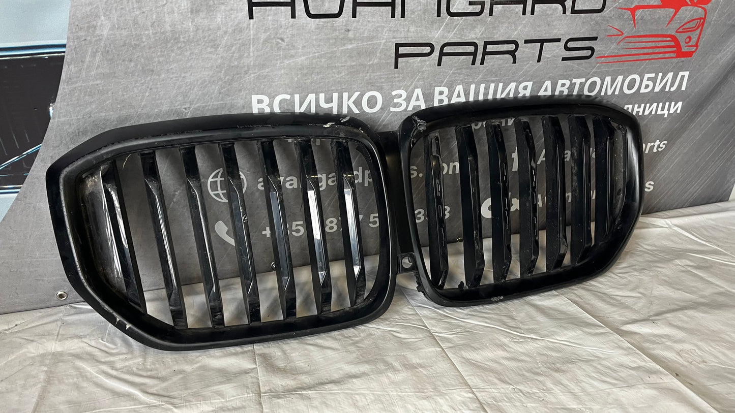Решетка/бъбреци BMW X5 G05 2019-