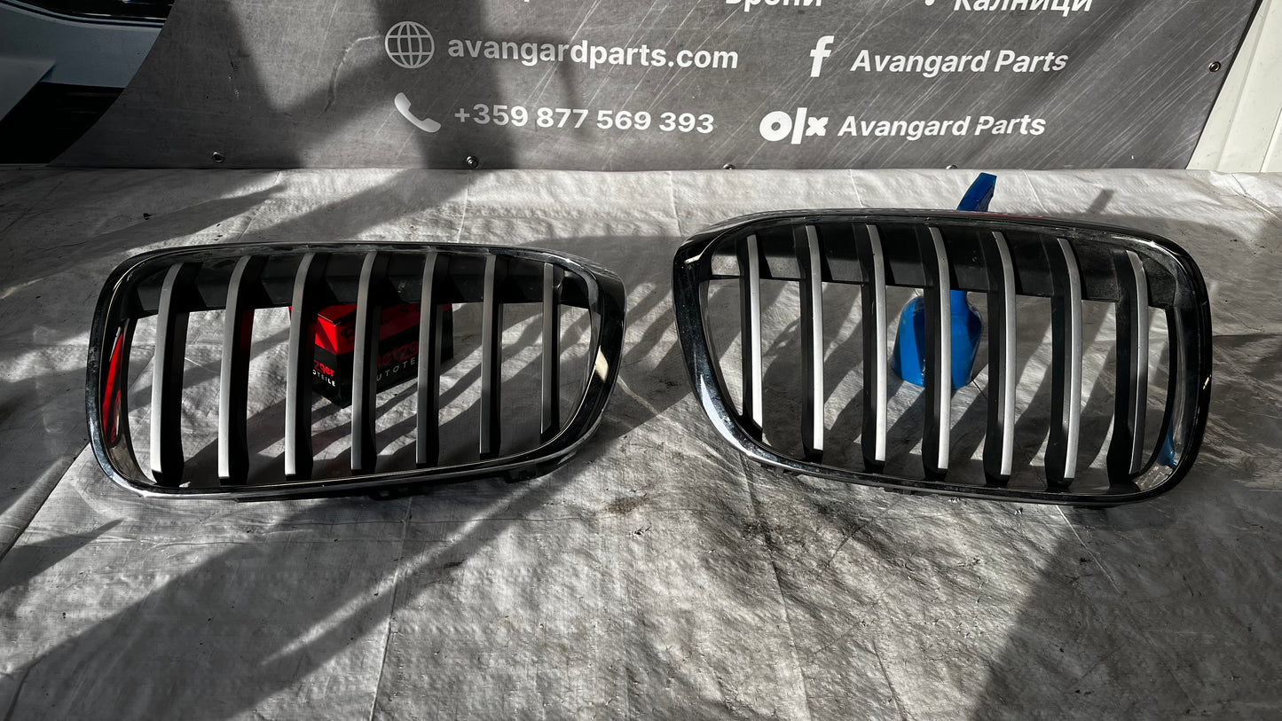 BMW X1 F48 ляв и десен бъбрек