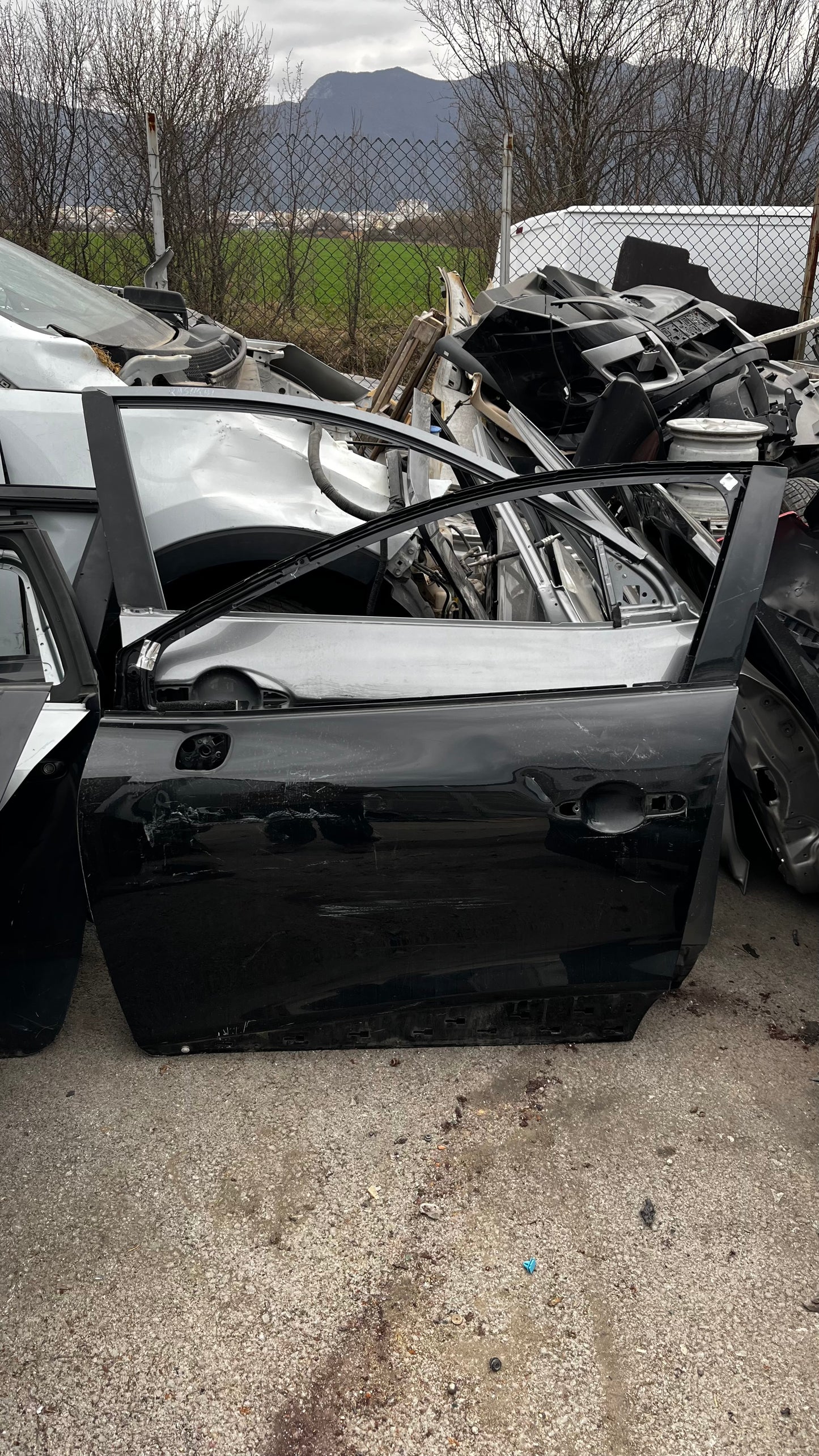 Renault Clio 4 предна лява врата