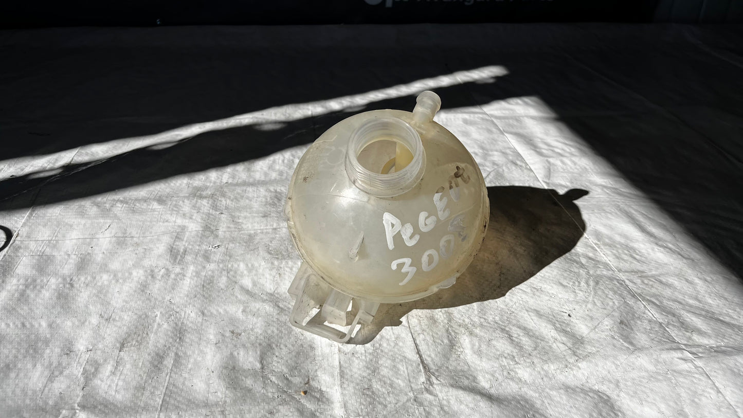 Peugeot 508 казанче антифриз