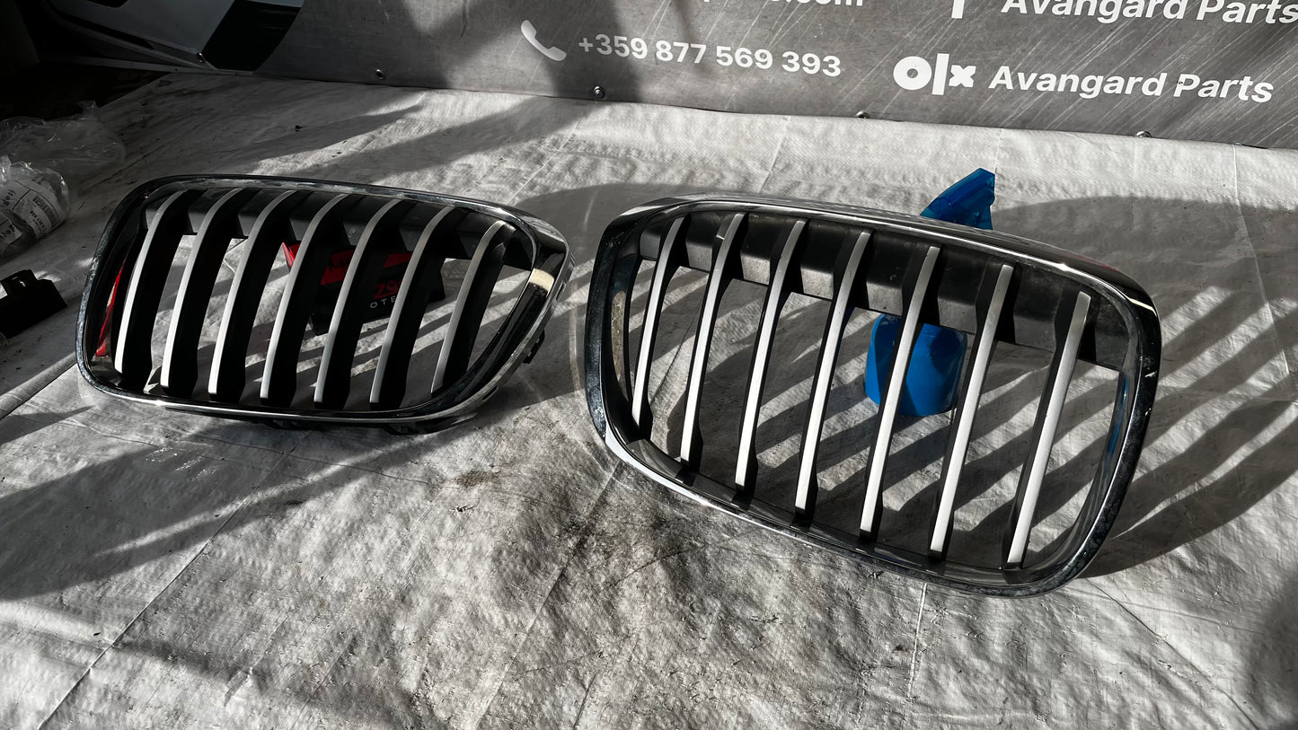 BMW X1 F48 ляв и десен бъбрек