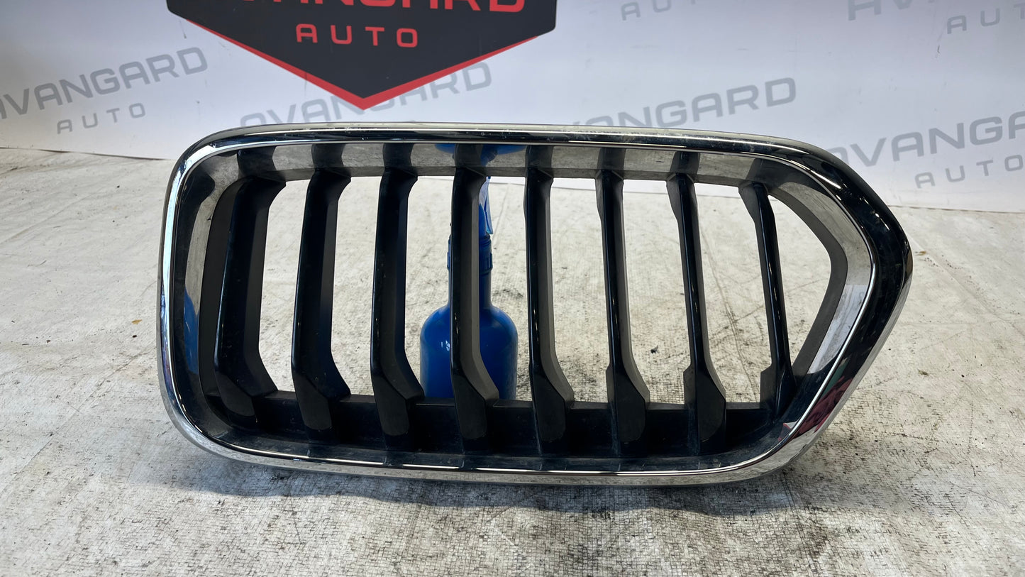 BMW X2 F39 десен бъбрек