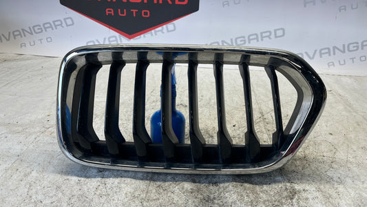 BMW X2 F39 десен бъбрек