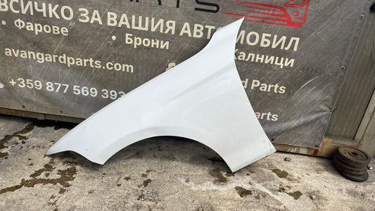 Ляв калник BMW 1 F20/F21, 2 F22/F23