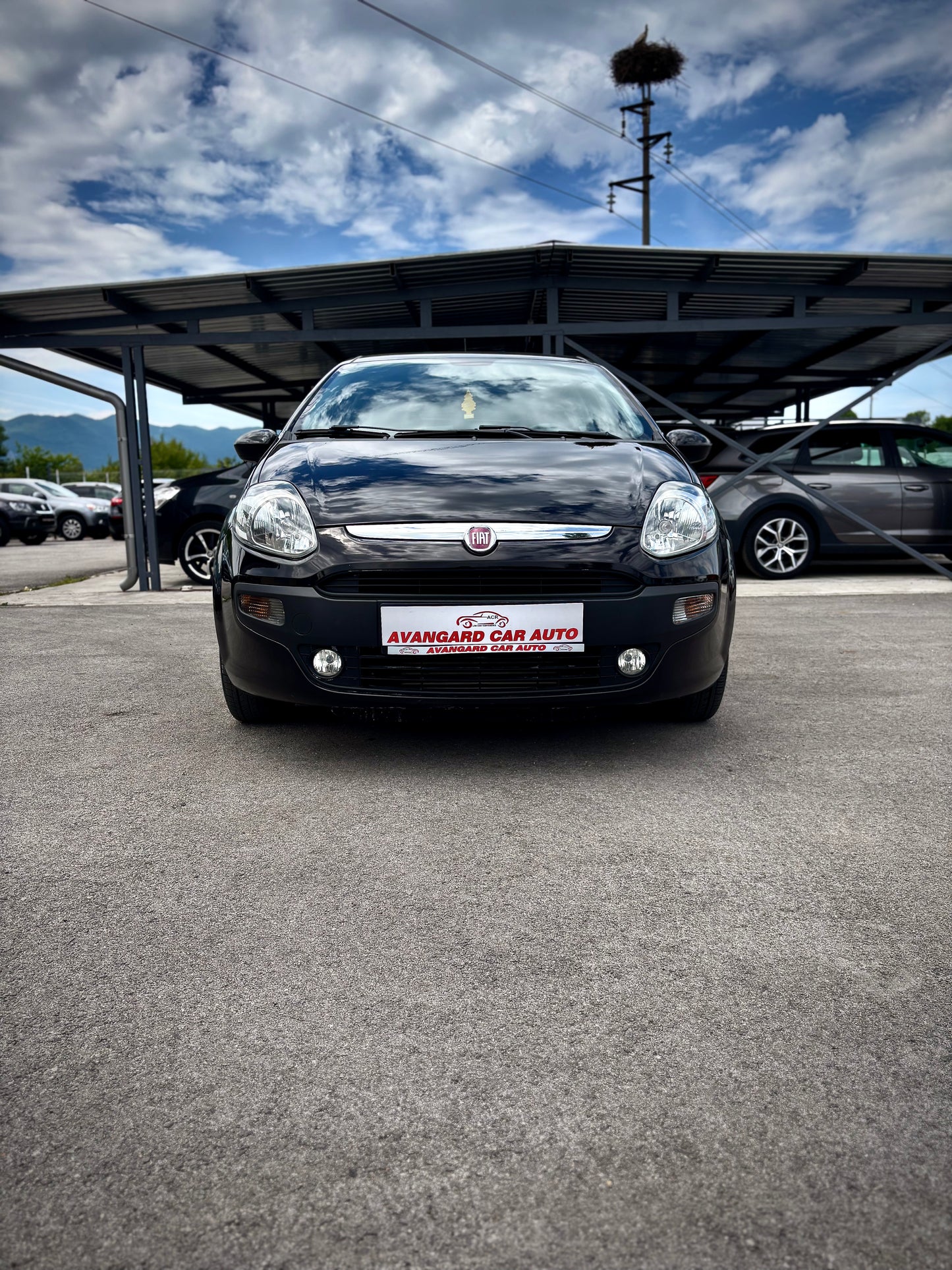 FIAT PUNTO EVO