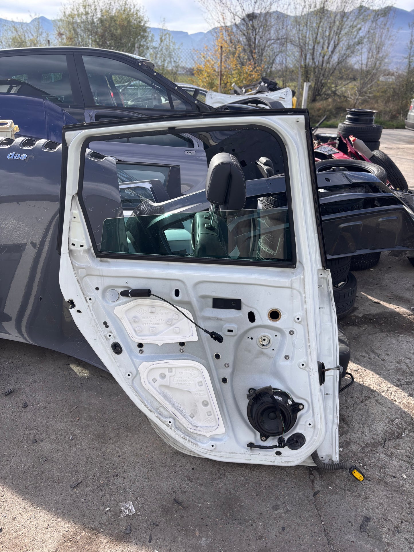 Врати задна лява и дясна за  Renault Scenic 3 • 2009–2016