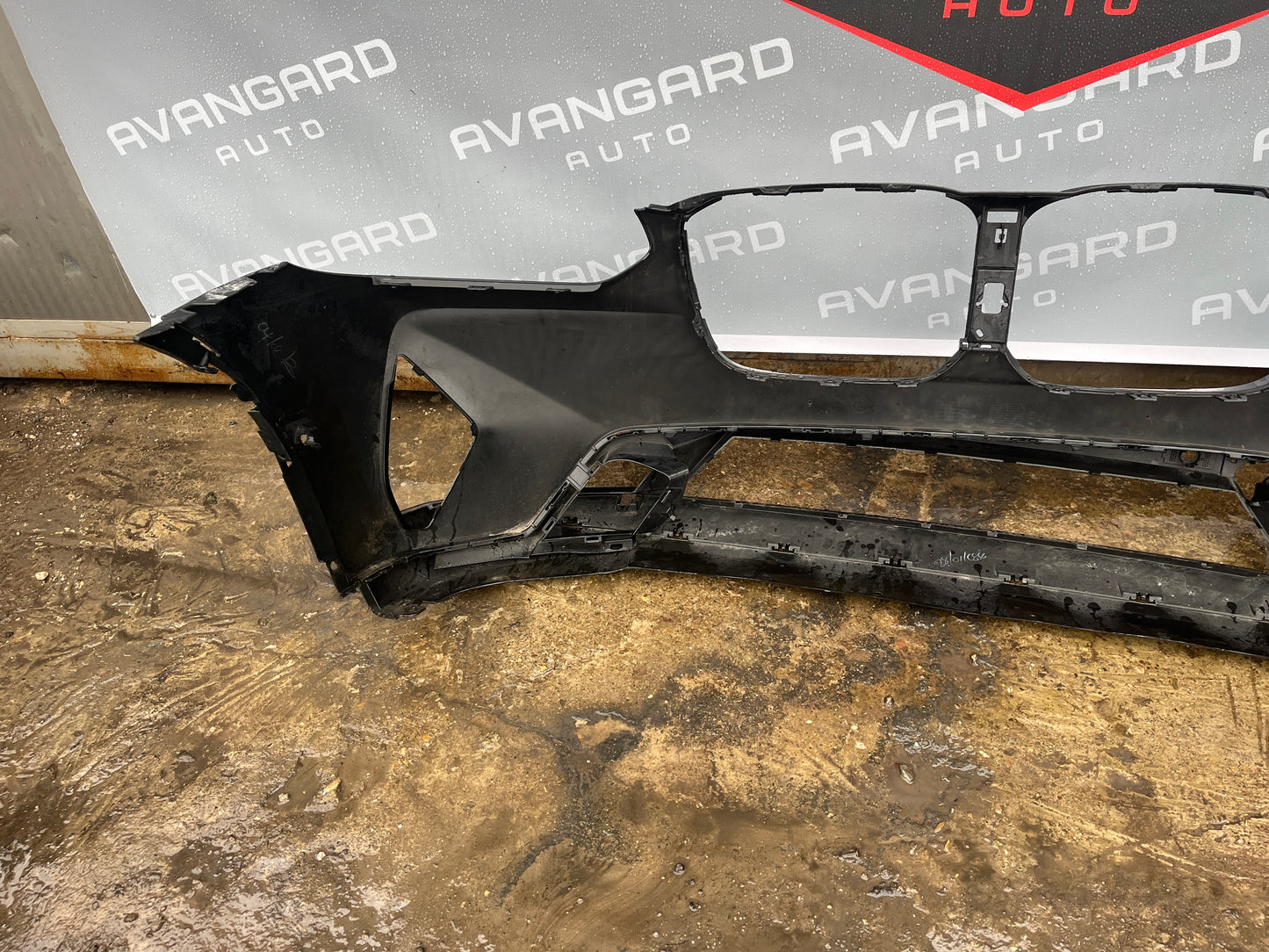 Броня BMW X3 G01 21- X-line