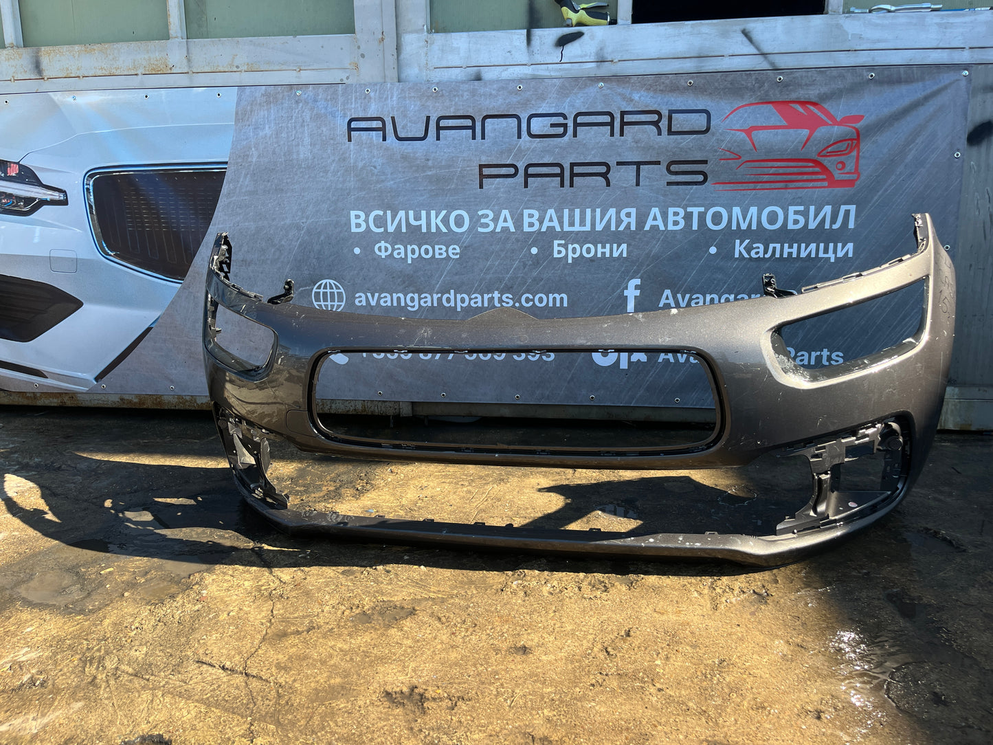 Броня Citroen C4 Picasso