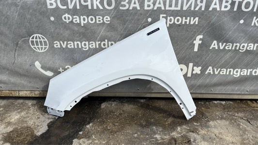 Десен и ляв калник VW Tiguan 2007-2018